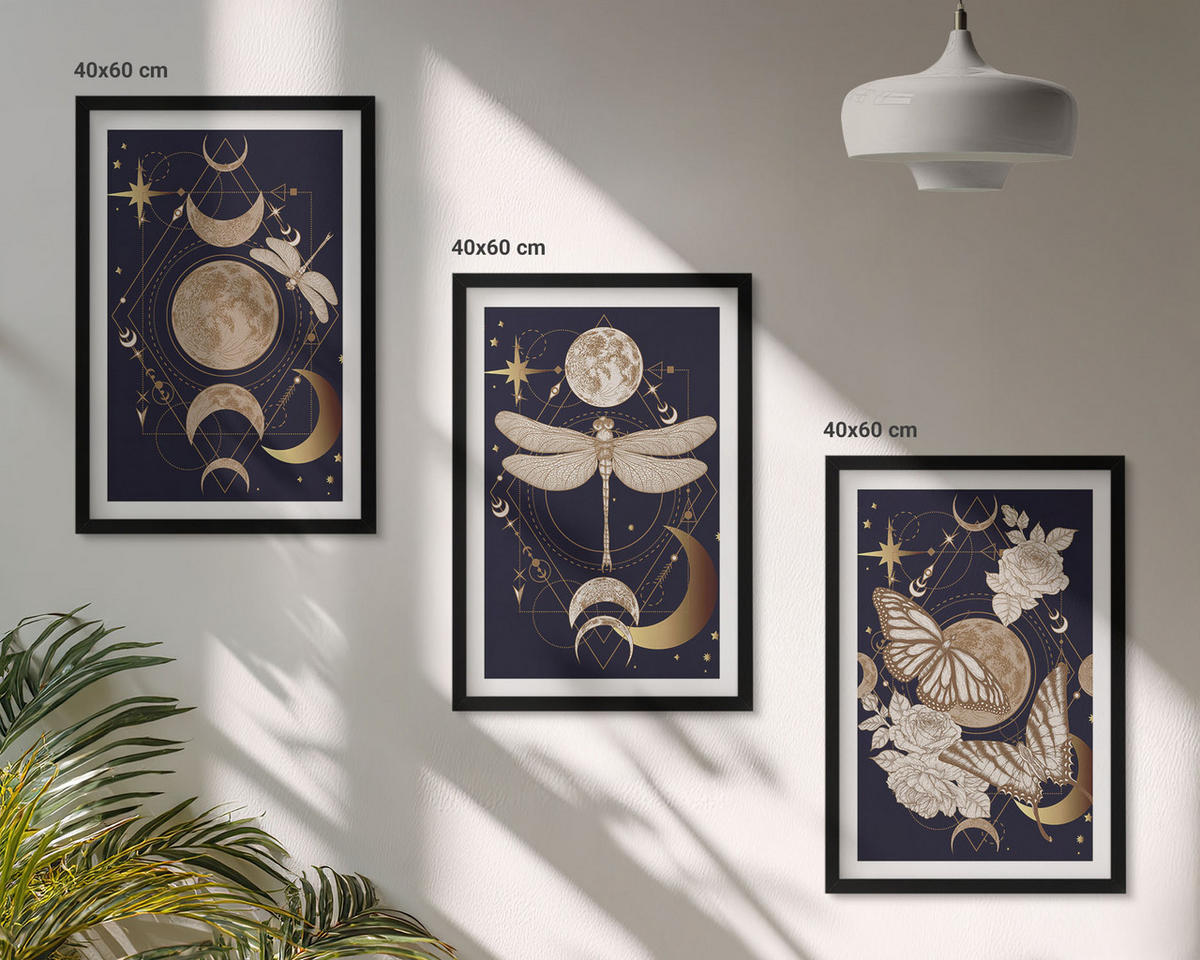 WANDBILDER 3er-Set - 40x60 cm Schwarzer Rahmen - Naturmotive Mondblumen - Schwarz, Kunststoff (40/60cm) - ArtPrintCave