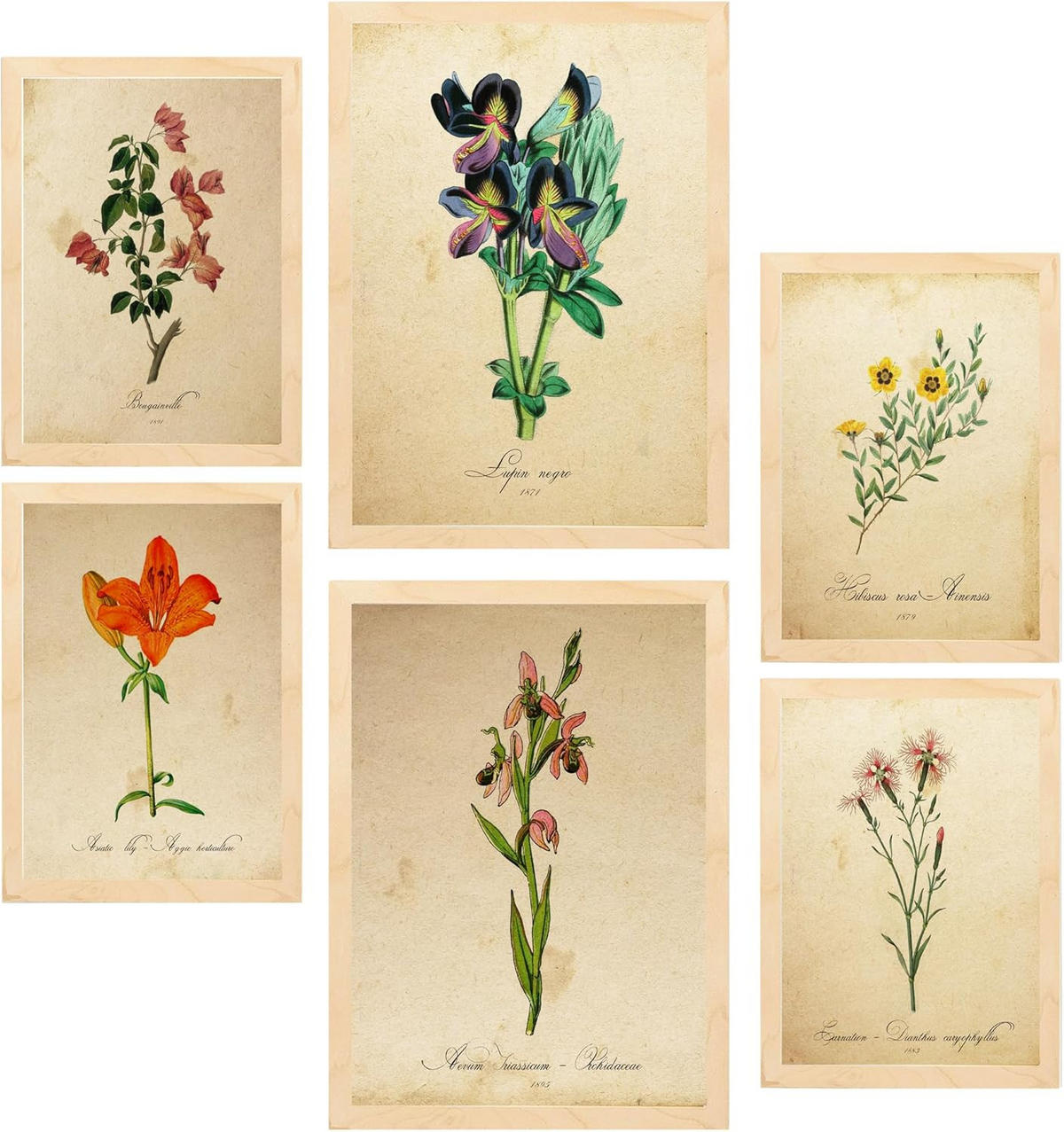 POSTER Set Mit 6 Botanica Frühlingszeit A3 & A4 Rahmen Aus Hellem Holz - Beige, Papier (29/3/42cm) - Nacnic