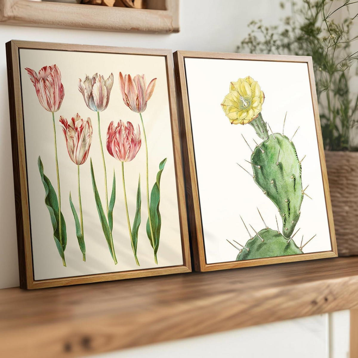 LEINWANDBILD mit Rahmen Botanisch Opuntie 30 x 40 cm - Grün, Holz (30/0.5cm)