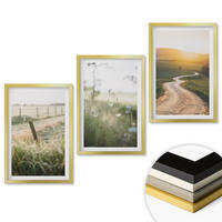 WANDBILDER 3er Set - 40x60 cm Goldrahmen - Landschaftswiesenstraße West - Goldfarben, Kunststoff (40/60cm) - ArtPrintCave