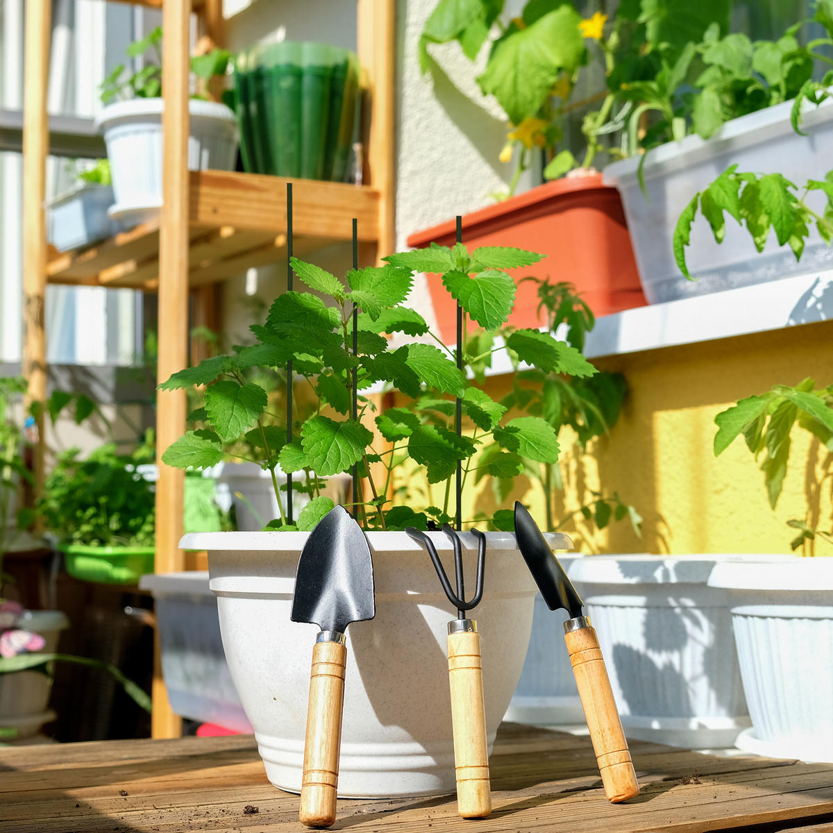 50XBAMBUSOVÉ tyče - čierna, kov/drevo (0.6/60/0.6cm) - Relaxdays