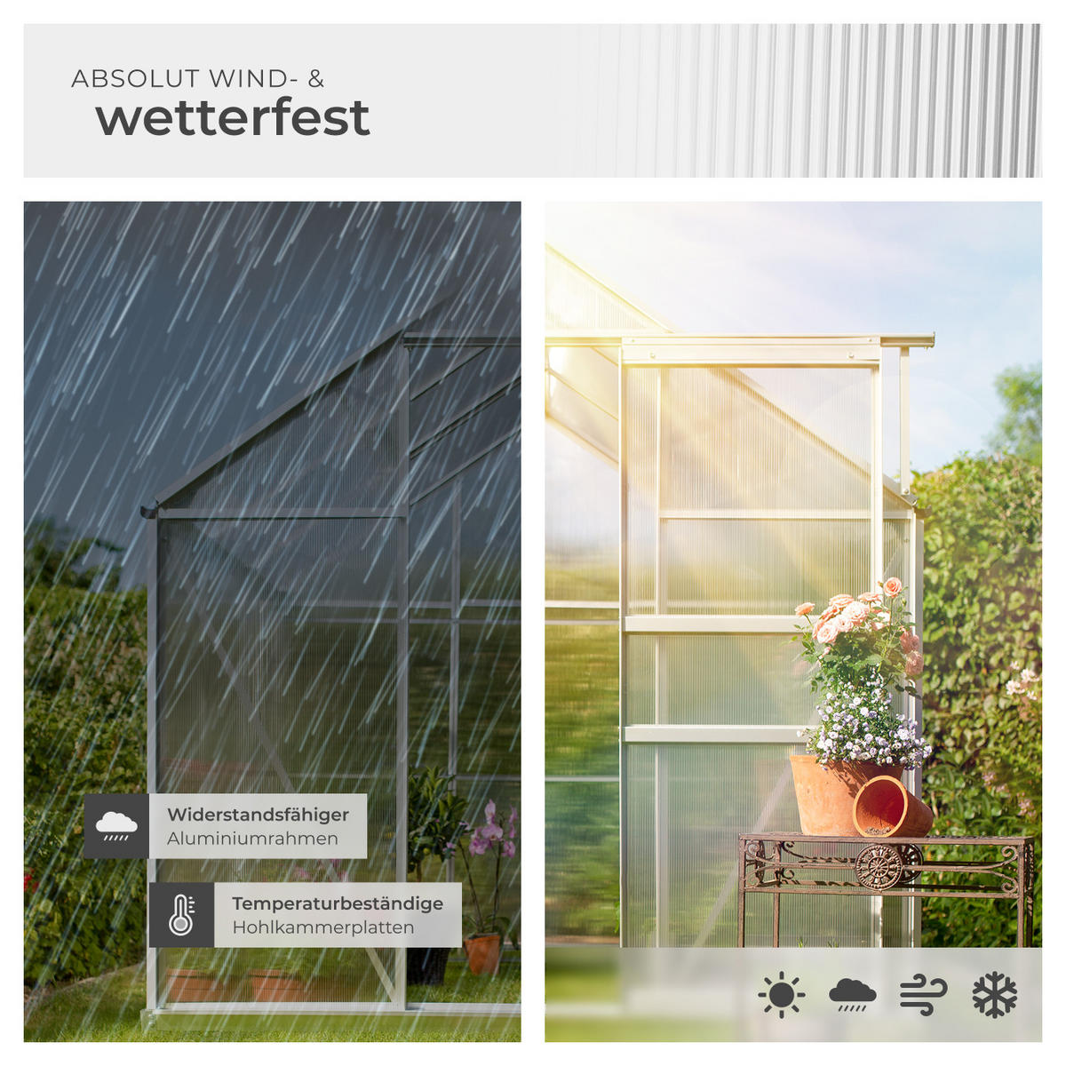 GEWÄCHSHAUS MIT FUNDAMENT, 185 x 190 x 195 cm,transparent - Transparent, Metall (185/195/190cm) - tectake