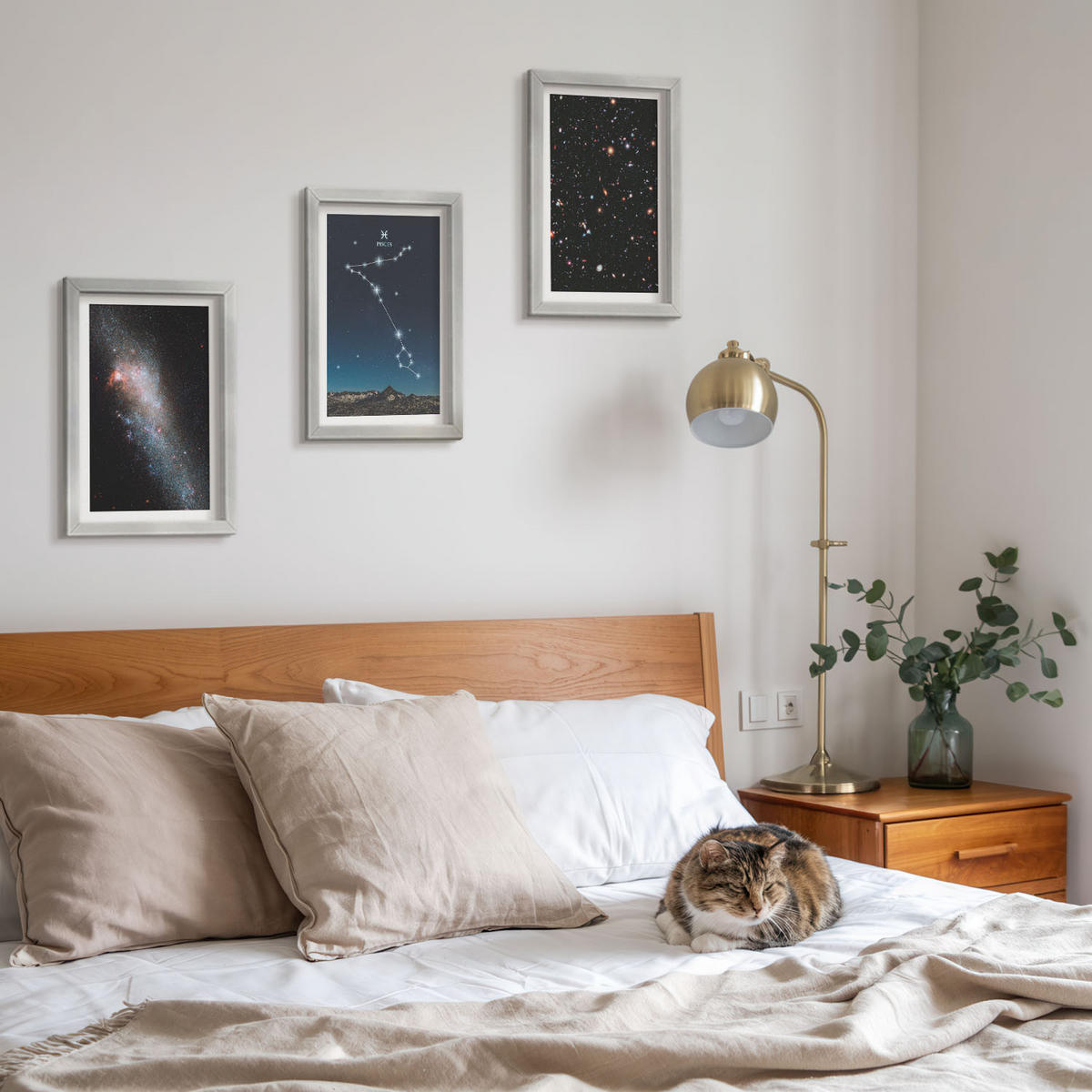 WANDBILDER 3er Set - 20x30 cm Silberner Rahmen - Die kosmischen Landschaften der Fische-Galaxie - Silberfarben, Kunststoff (20/30cm) - ArtPrintCave