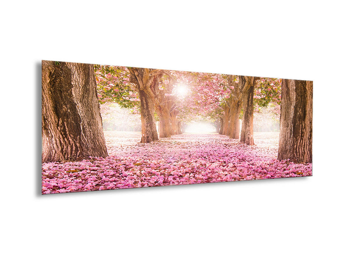 GLASBILD 80x30 cm Bäume rosa - Beige, Glas (80/30cm) - artissimo