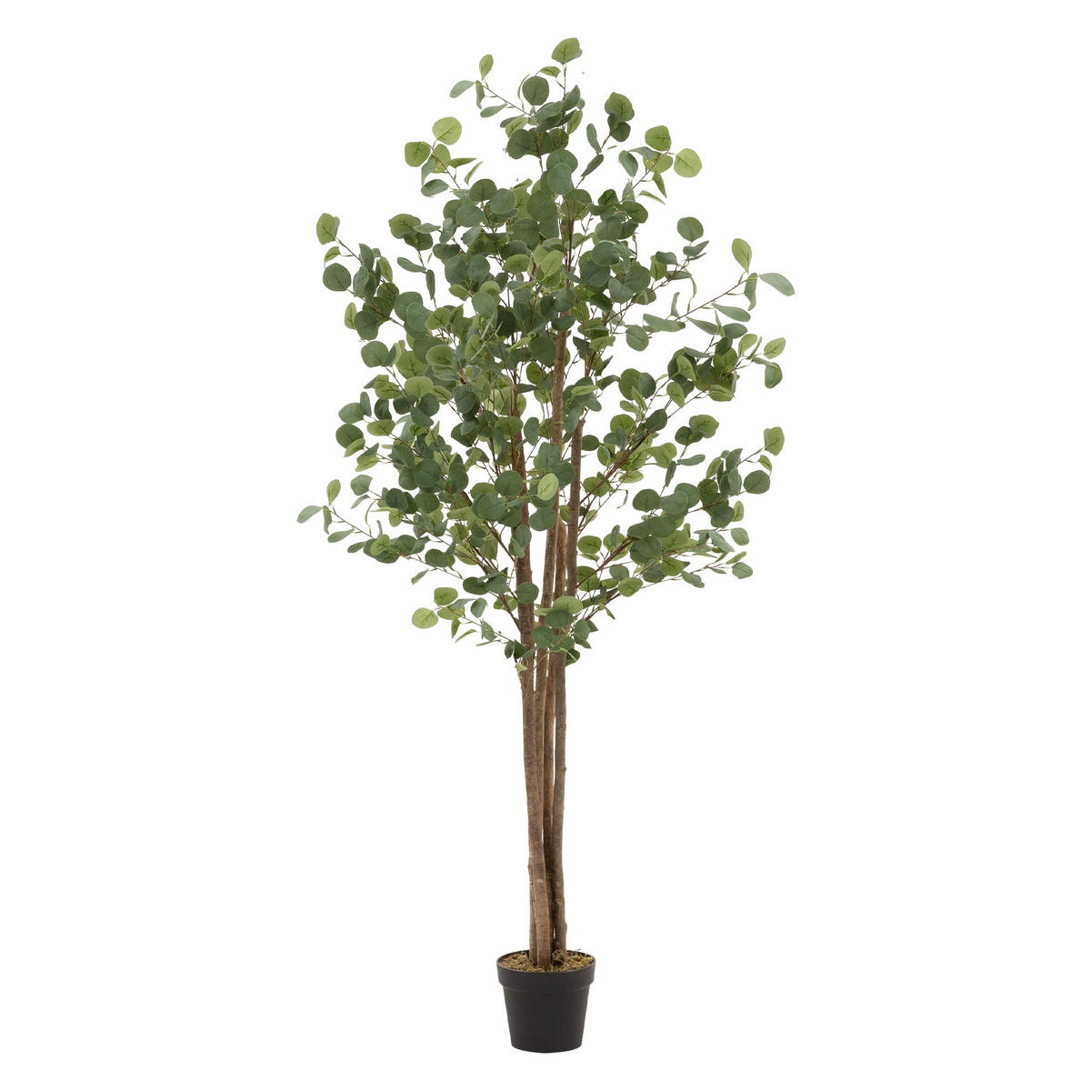 KUNSTPFLANZE Eukalyptus - Anthrazit/Grün, Holz/Kunststoff (180cm) - ML-DESIGN