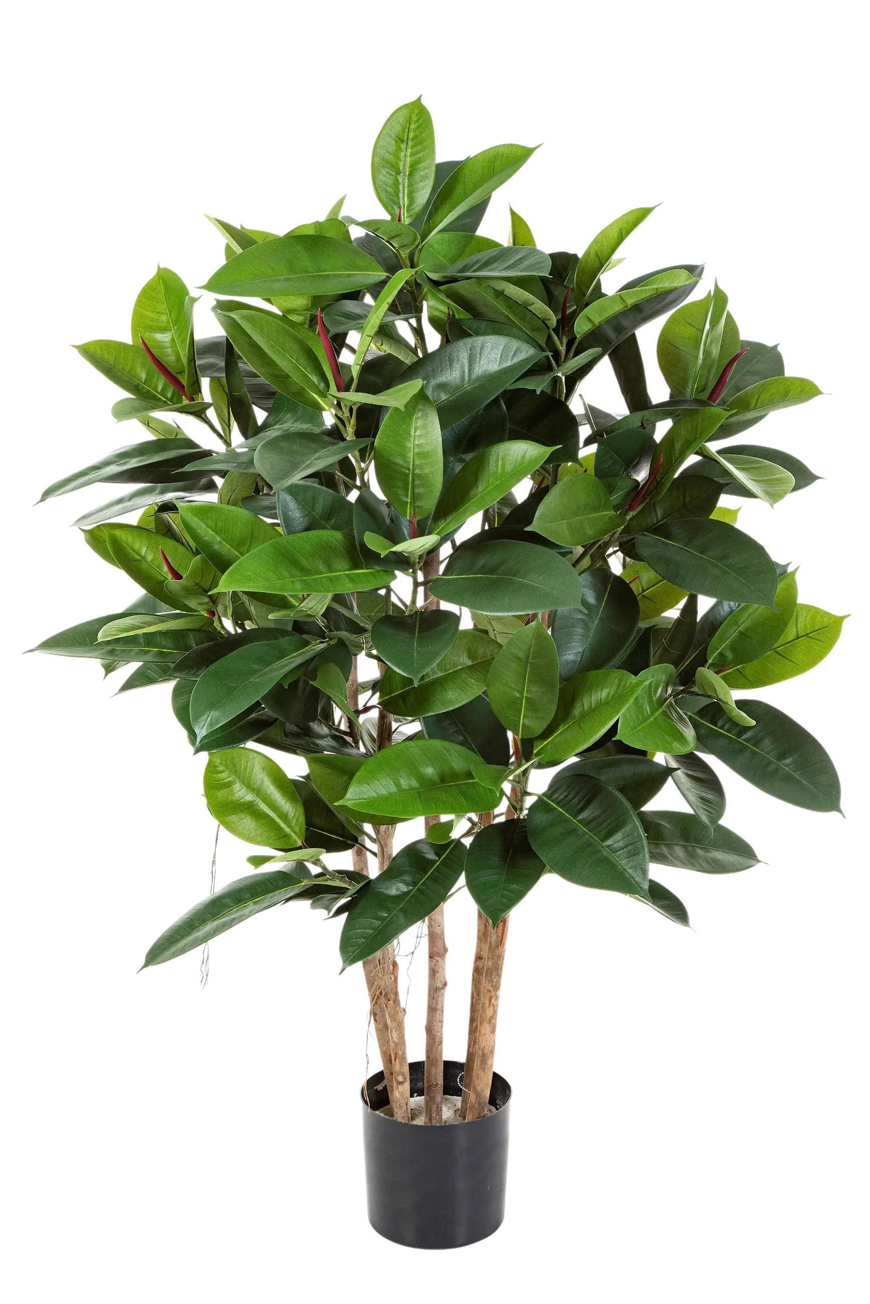 KUNSTBAUM Künstlicher Gummibaum - Laura 120 cm - Naturfarben, Kunststoff (120cm) - aplanta