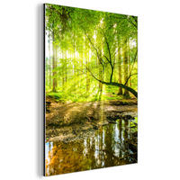 METALLBILD Wald - Landschaft - Wasser - Bäume - Sonne - Grün - Natur 30x40 cm - Grün, Metall (30/40cm) - MuchoWow