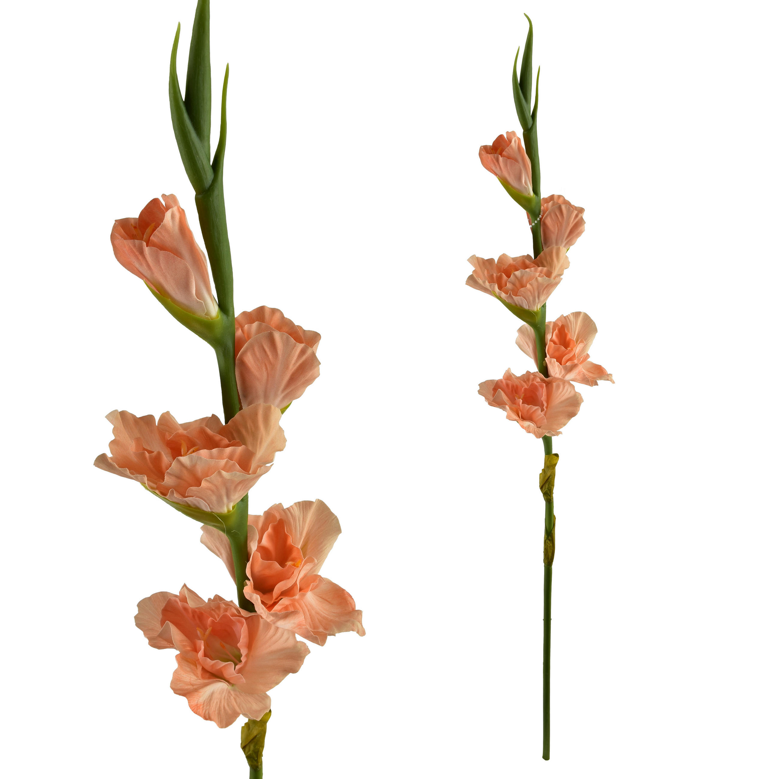 KVĚTINA, plast, bílá - pomerančová, plast (85cm) - Mondex