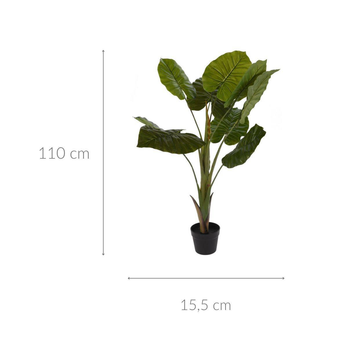 ZIMMERPFLANZE Alocasia Wentii 110 cm - Grün, Kunststoff (110cm)
