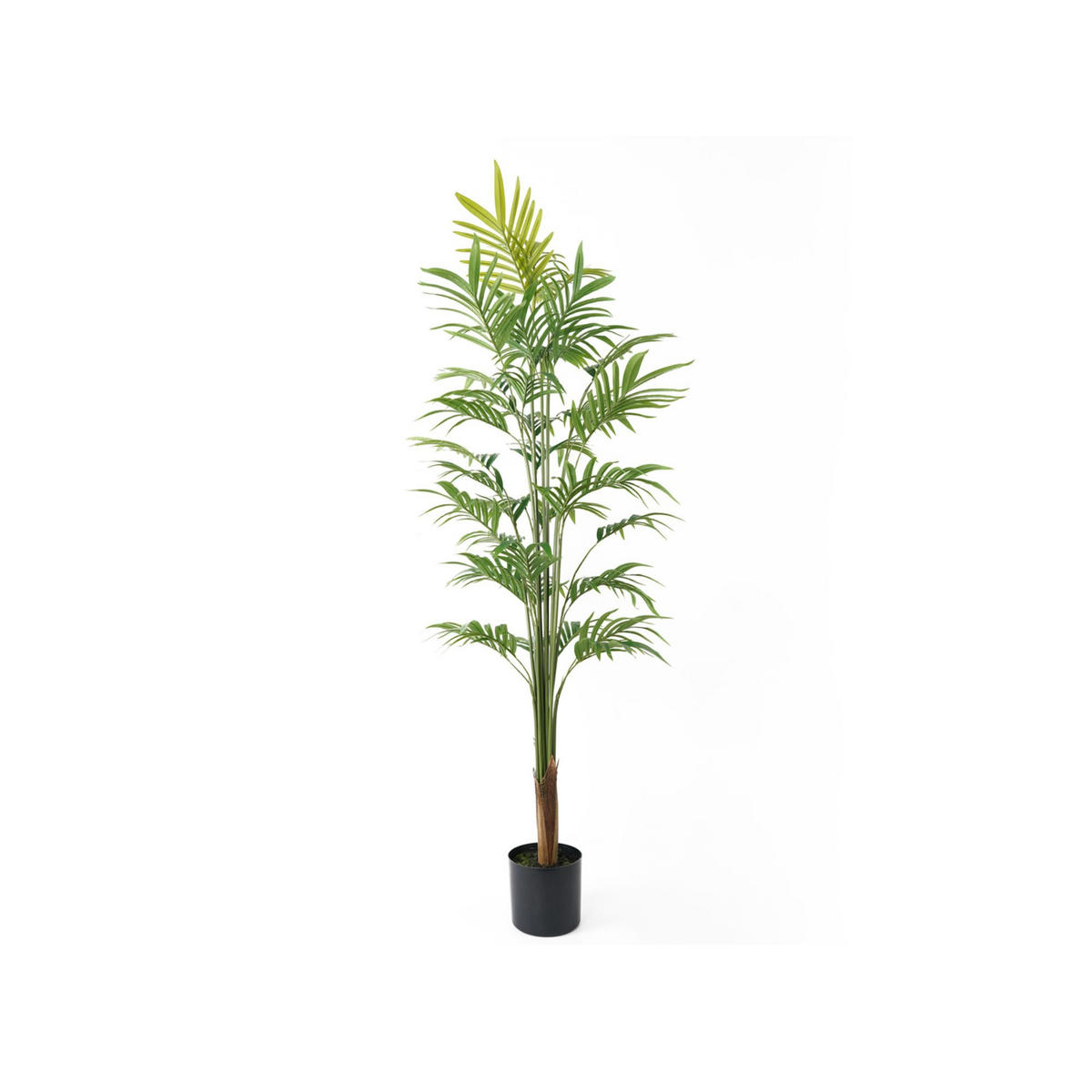 KÜNSTLICHE PFLANZE Gold Palm Tree Large Grün 65/65/160 cm - Grün, Kunststoff (160cm) - Present Time