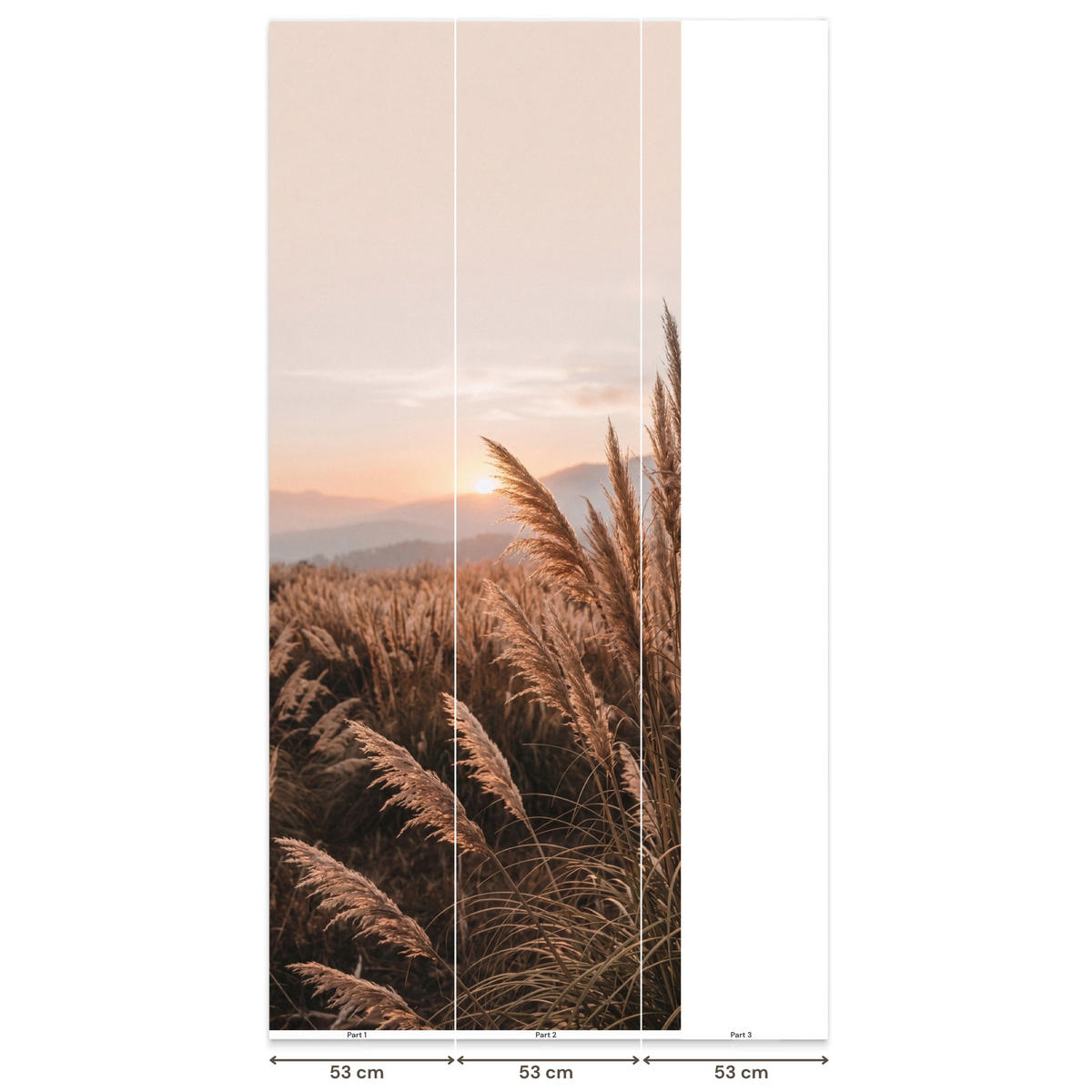 TAPETE - Gras - Feld - Sonne - Natur - 120x300 cm - Sandfarben, Papier (120/300cm) - OnlyWow