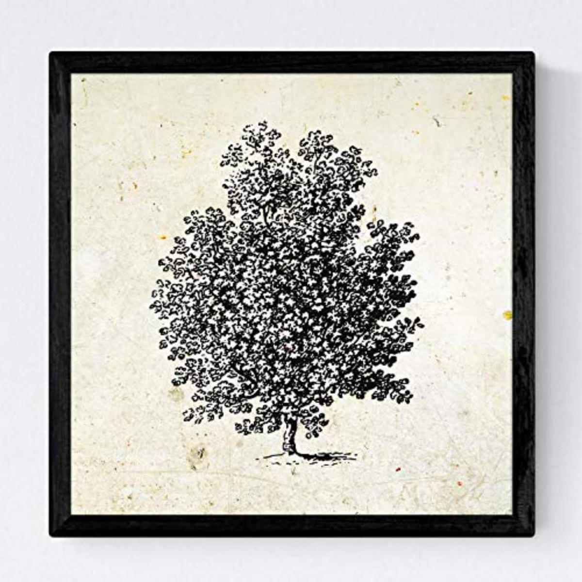 POSTER Set mit 4 Blättern der Obstbäume ohne Jahrgang Hintergrund 20x20cm Rahmenlos - Klar, Papier (20/3cm) - Nacnic