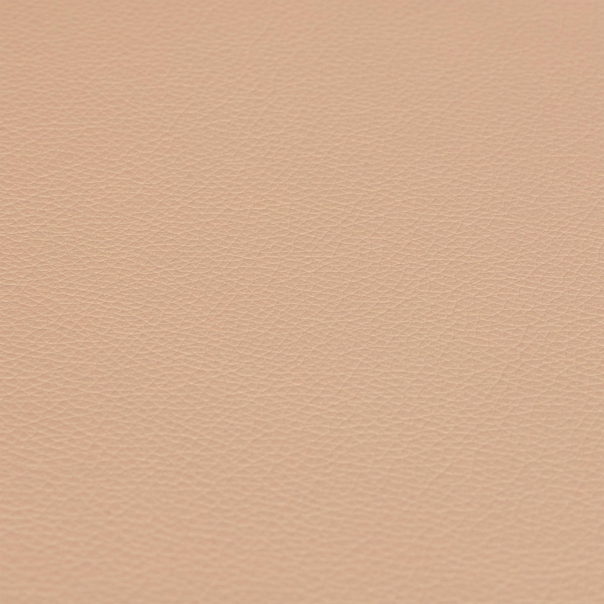SITZBANK - Beige, Holz/Holzwerkstoff (80/40/39.5cm) - Relaxdays