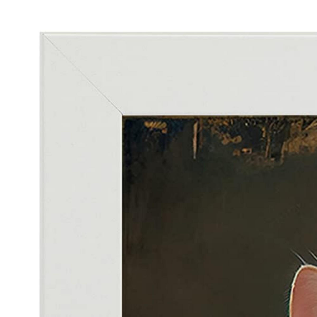 POSTER Singapura-Katze In Voller Farbe Fotostil A4 Weißer Rahmen - Weiß, Papier (29.7/5/21cm) - Nacnic