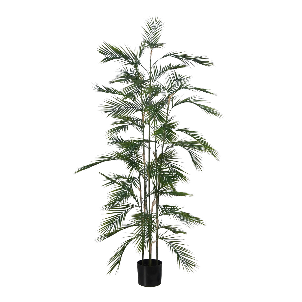 PALMEN Künstliche Bergpalme - Nolte 180 cm - Grün, Kunststoff (180cm) - aplanta