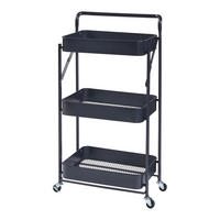ROLLWAGEN Vörå - Schwarz, Metall (45/88/30cm) - [en.casa]