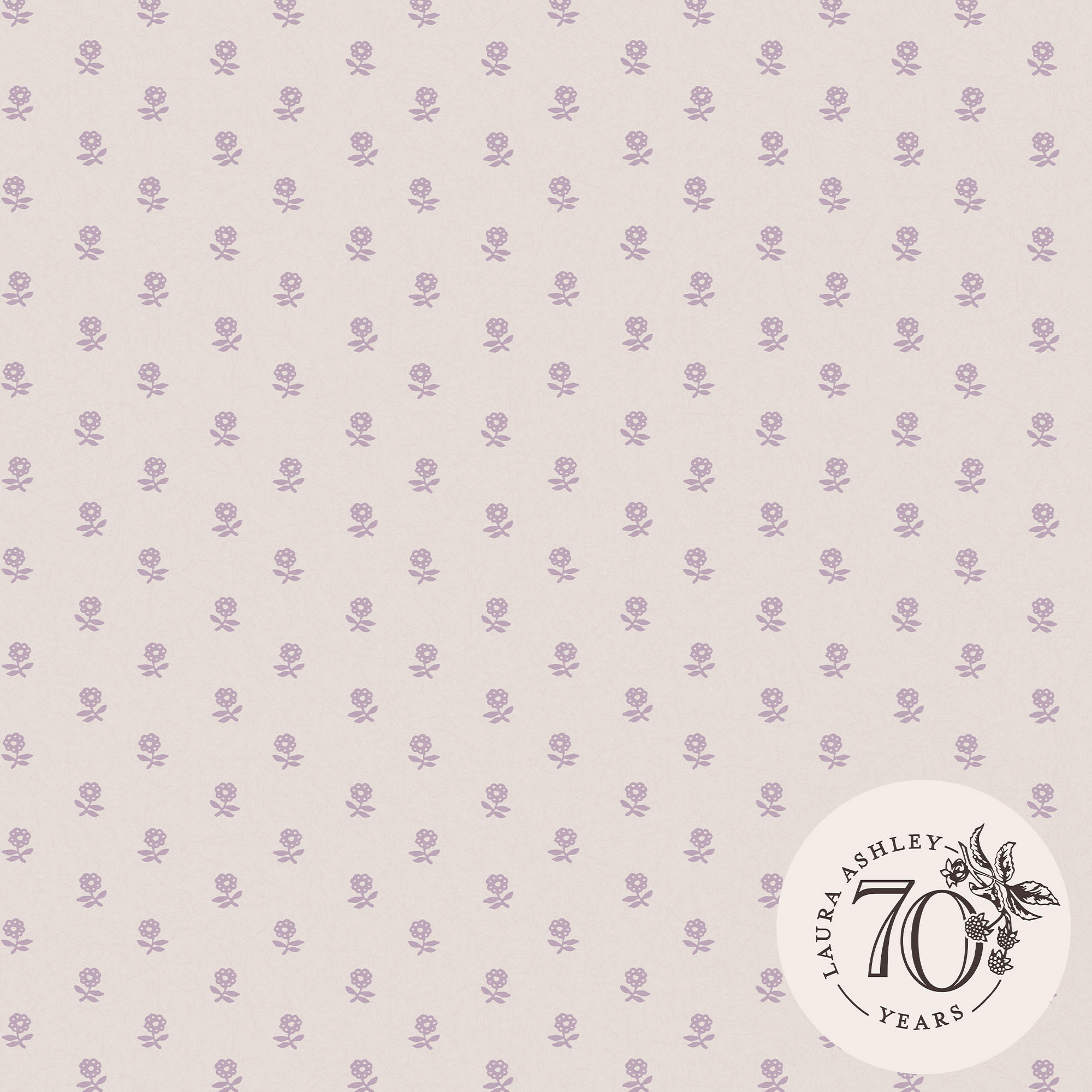 VLIESTAPETE Gänseblümchen Lavendel | Hellrosa | Blumen | 10mx52cm - Pink, Papier/Kunststoff (52/1000cm) - Graham & Brown