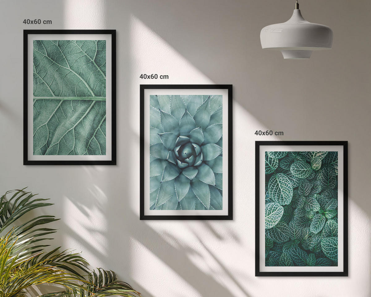 BILDER SET 3er Set - 40x60 cm Schwarzer Rahmen - Nahaufnahme von Pflanzenblättern - Schwarz, Kunststoff (40/60cm) - TULUP