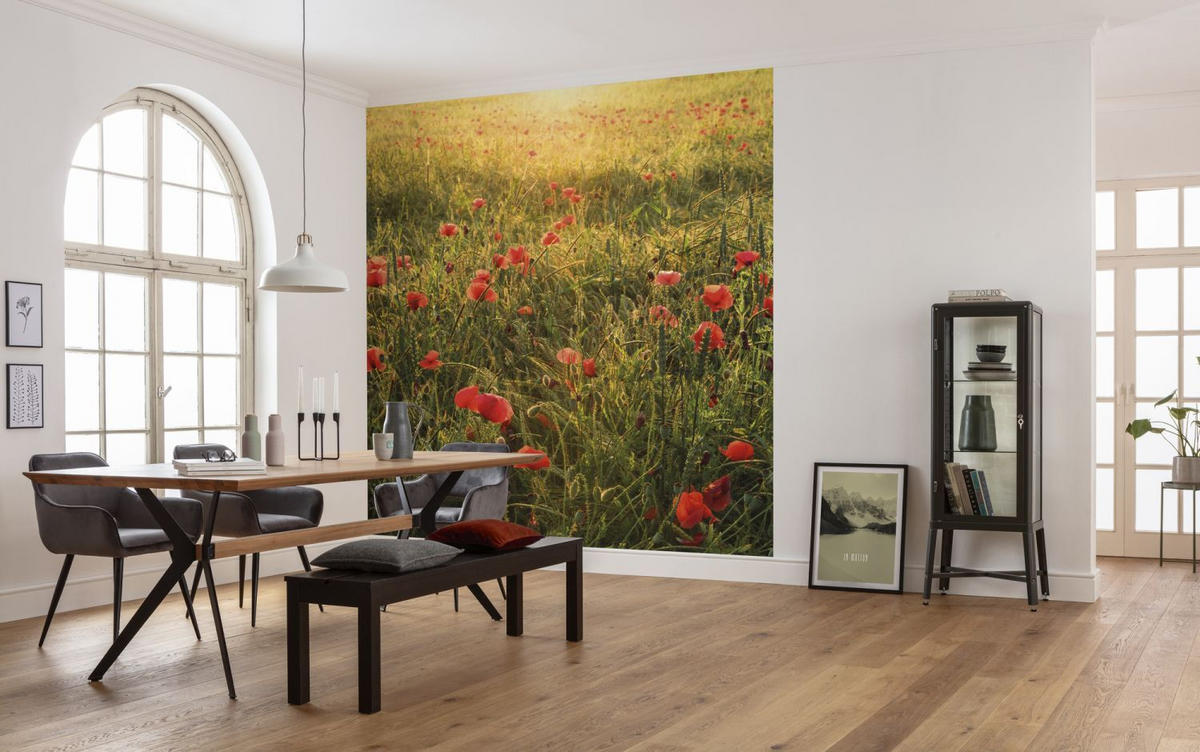 FOTOTAPETE Mohnblumen 250 x 280 cm - Grün, Papier (250/280cm) - Sanders & Sanders