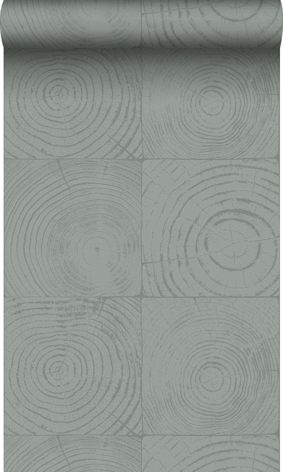 TAPETE Querschnitte von Baumstämmen 53 cm x 10.05 m - Grün, Papier (53/1000cm) - Origin Wallcoverings