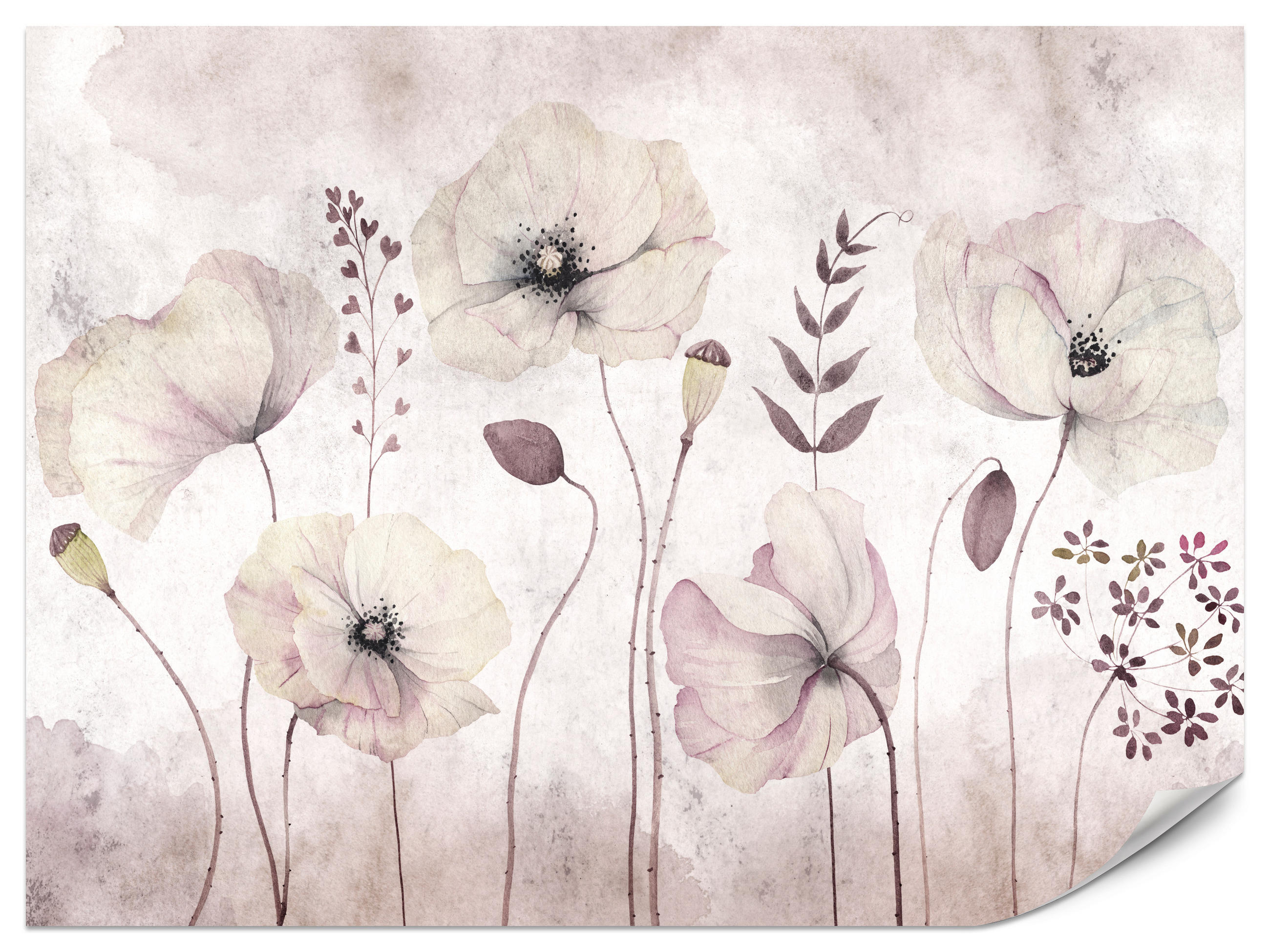 FOTOTAPETE für Schlafzimmer Zarte Mohnblumen Wiese Blumen 500x350 - Violett, Papier (500/350cm) - Muralo