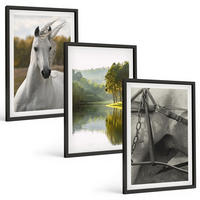 BILDER SET 3er Set - 40x60 cm Schwarzer Rahmen - Natur des Flusses White Horses - Schwarz, Kunststoff (40/60cm) - TULUP