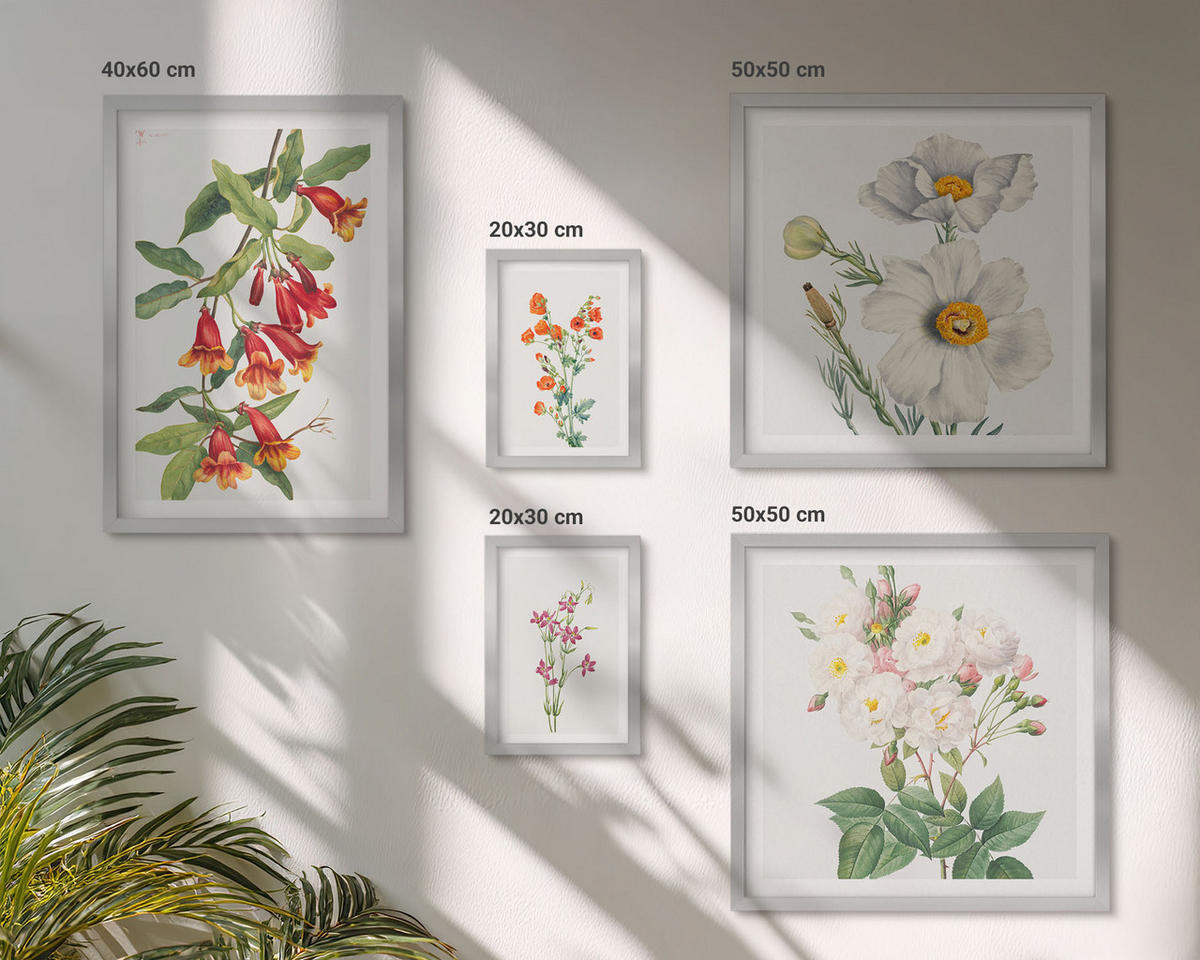 WANDBILDER 5er Set - 50x50 cm & 20x30 cm & 40x60 cm Silberner Rahmen - Blumenmalerei im Retro-Stil - Silberfarben, Kunststoff (40/60cm) - ArtPrintCave