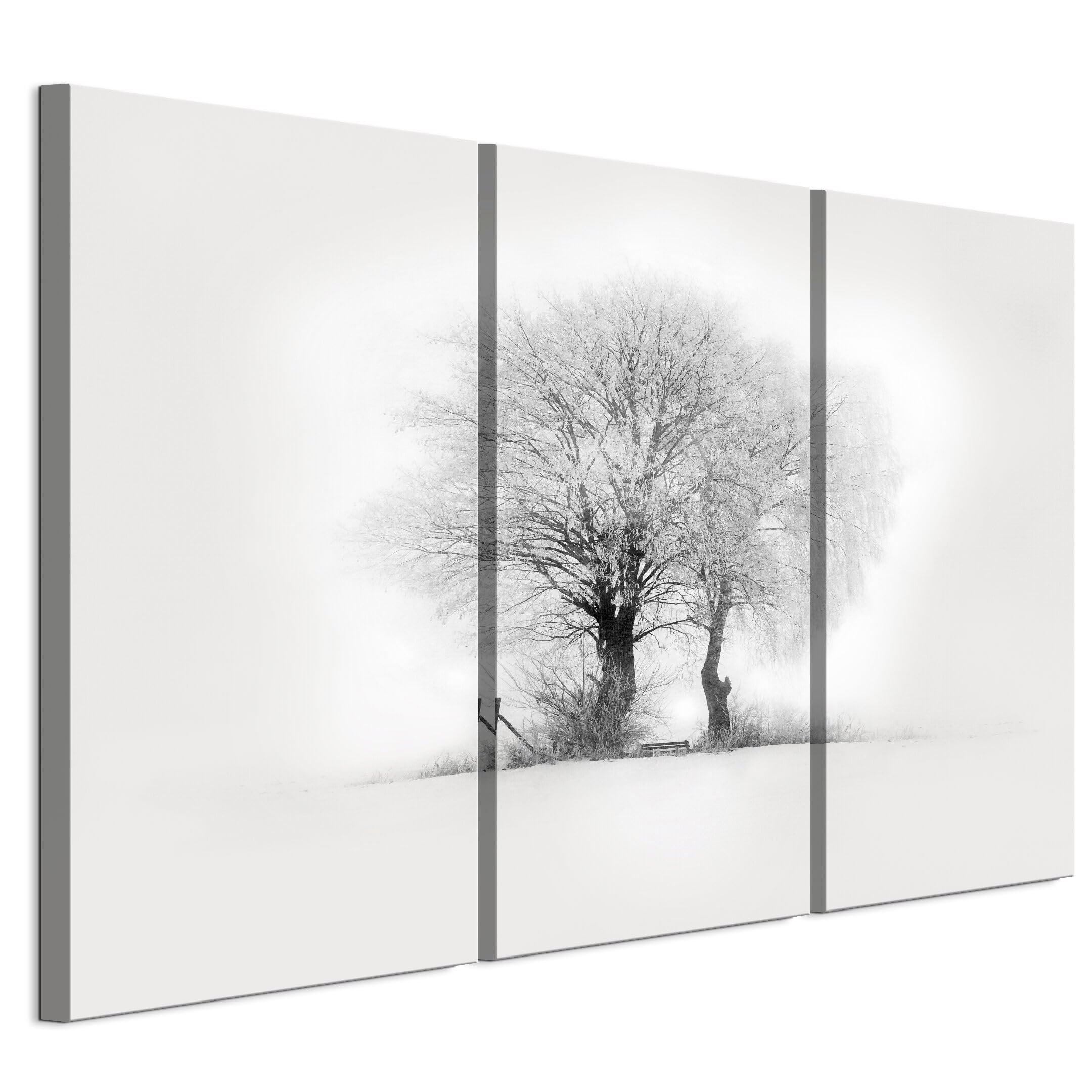 LEINWANDBILD Winter 3-tlg. 90x60 cm - Weiß, Holz (90/60cm) - LUMASOUL