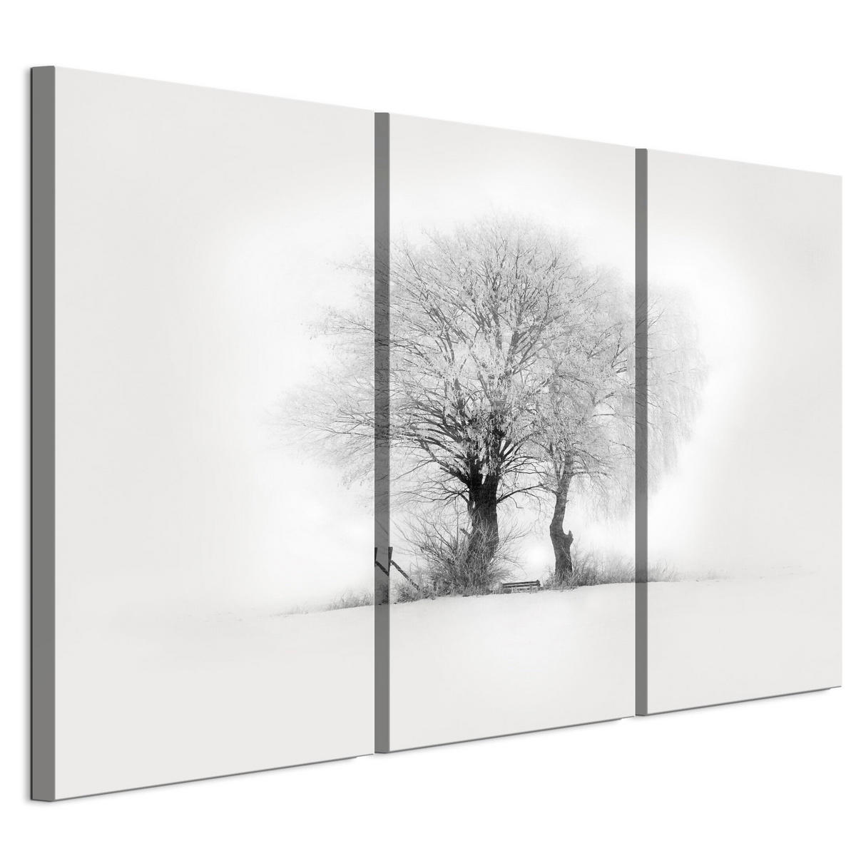 LEINWANDBILD Winter 3-tlg. 90x60 cm - Weiß, Holz (90/60cm) - LUMASOUL