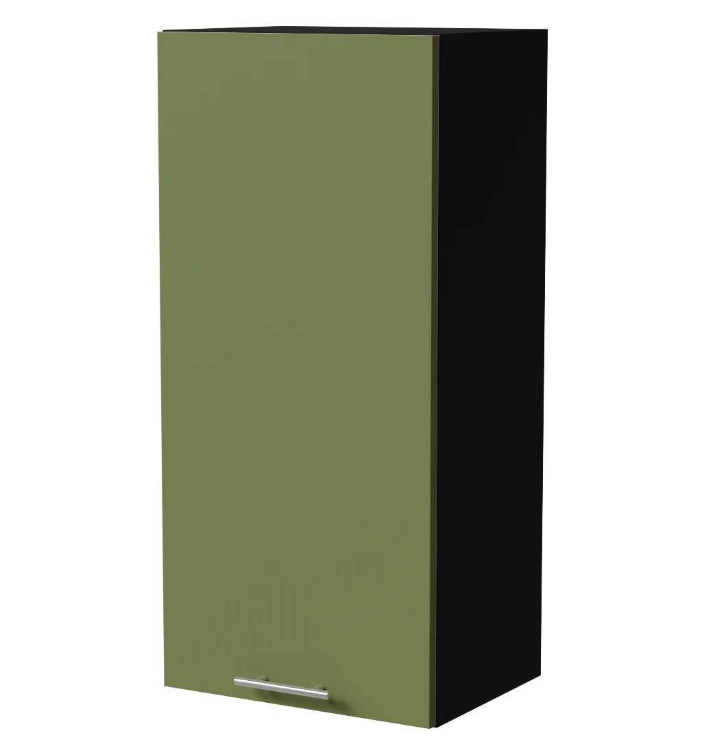 Feldmann-Wohnen Hängeschrank Grün, Schwarz 45x96x32.5 cm