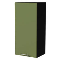 HÄNGESCHRANK Brerra W4/45 Schwarz / RAL 6025 farngrün Matt 45 / 32,5 / 96cm - Schwarz/Grün, Holz/Holzwerkstoff (45/96/32.5cm) - Feldmann-Wohnen