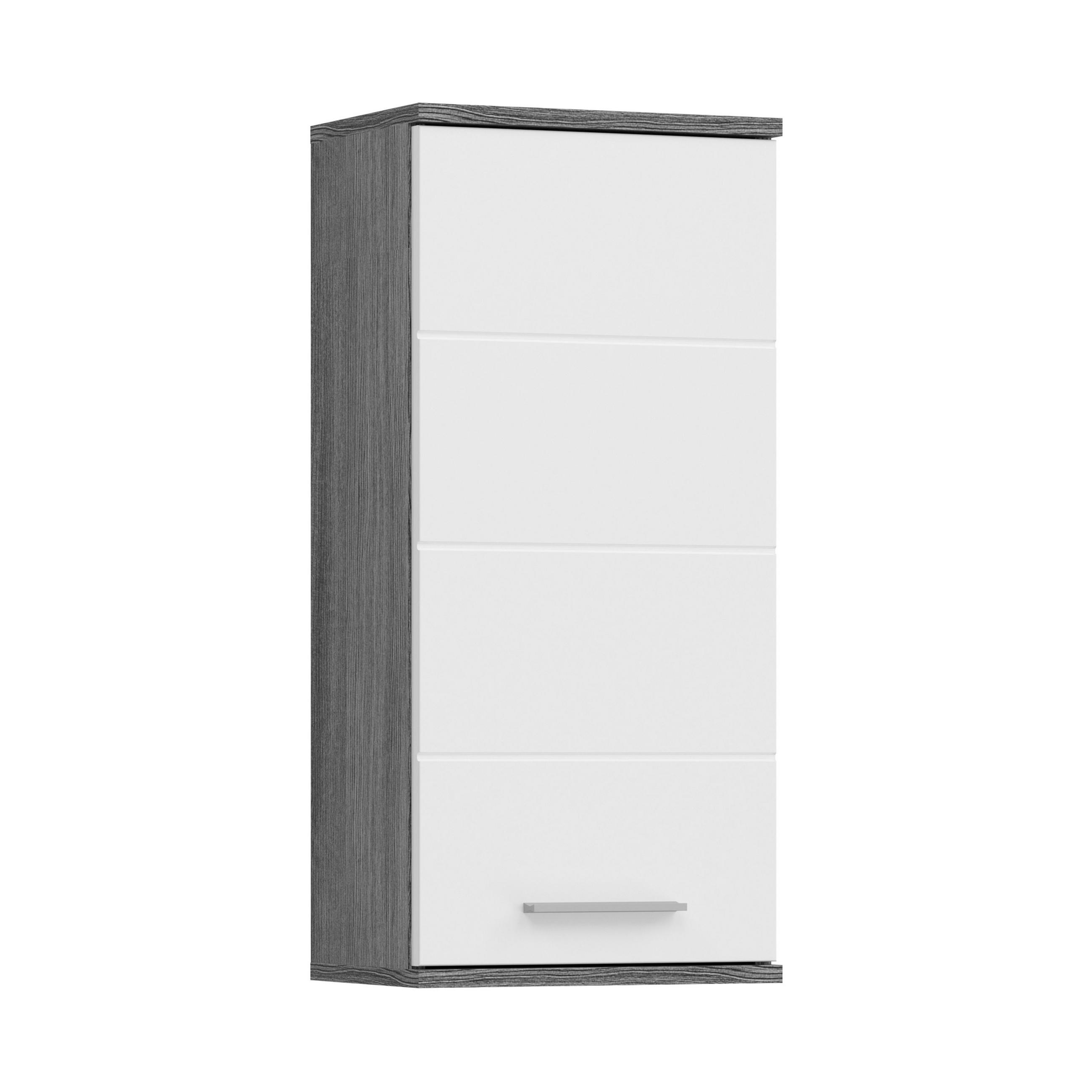 Homes & Jones Hängeschrank Silber 35x77x25 cm