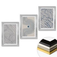 WANDBILDER 3er Set - 20x30 cm Silberner Rahmen - Abstrakte Linien, Wellenformen - Silberfarben, Kunststoff (20/30cm) - ArtPrintCave