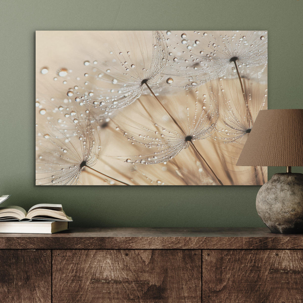 AKUSTIKBILD Löwenzahn - Abstrakt - Natur - Beige Wanddeko 70x50 cm - Braun, Kunststoff (70/50/0.9cm) - MuchoWow