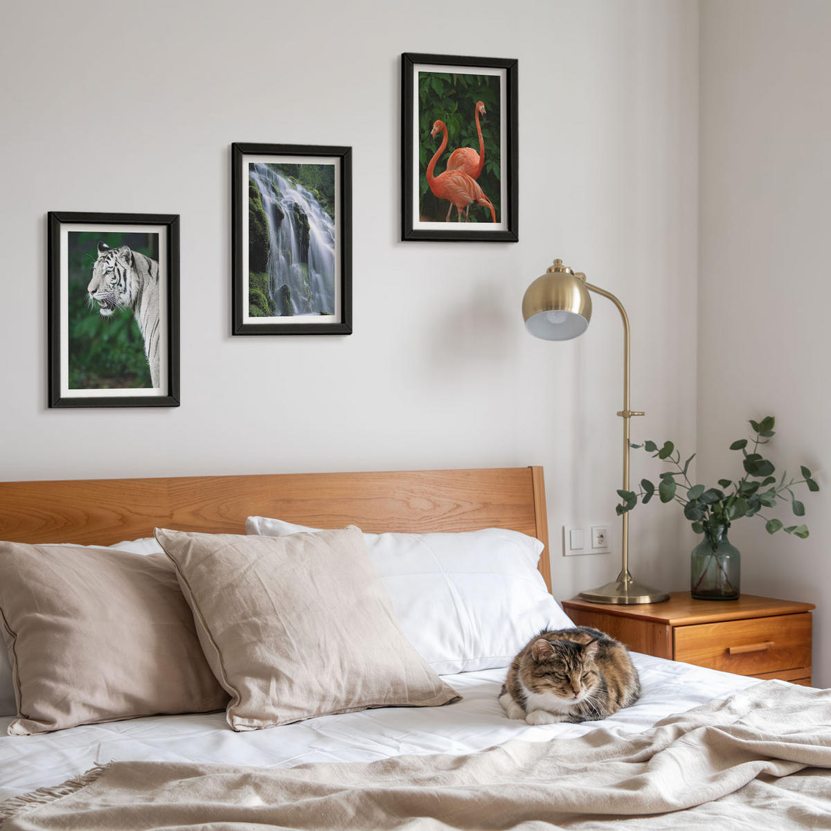 WANDBILDER 3er-Set - 20x30 cm Schwarzer Rahmen - Tiger Wasserfall Flamingos Natur - Schwarz, Kunststoff (20/30cm) - ArtPrintCave