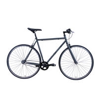 VINTAGE Single Speed Grey 28 Zoll Gr: 55 (L) - Grau, Metall (55cm) - Hawk Bikes