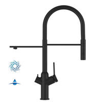 4-WEGE-KÜCHENARMATUR, Schwarz Matt, 2-Strahl-Brause - Schwarz, Metall (20.61/48/20.61cm) - VIZIO