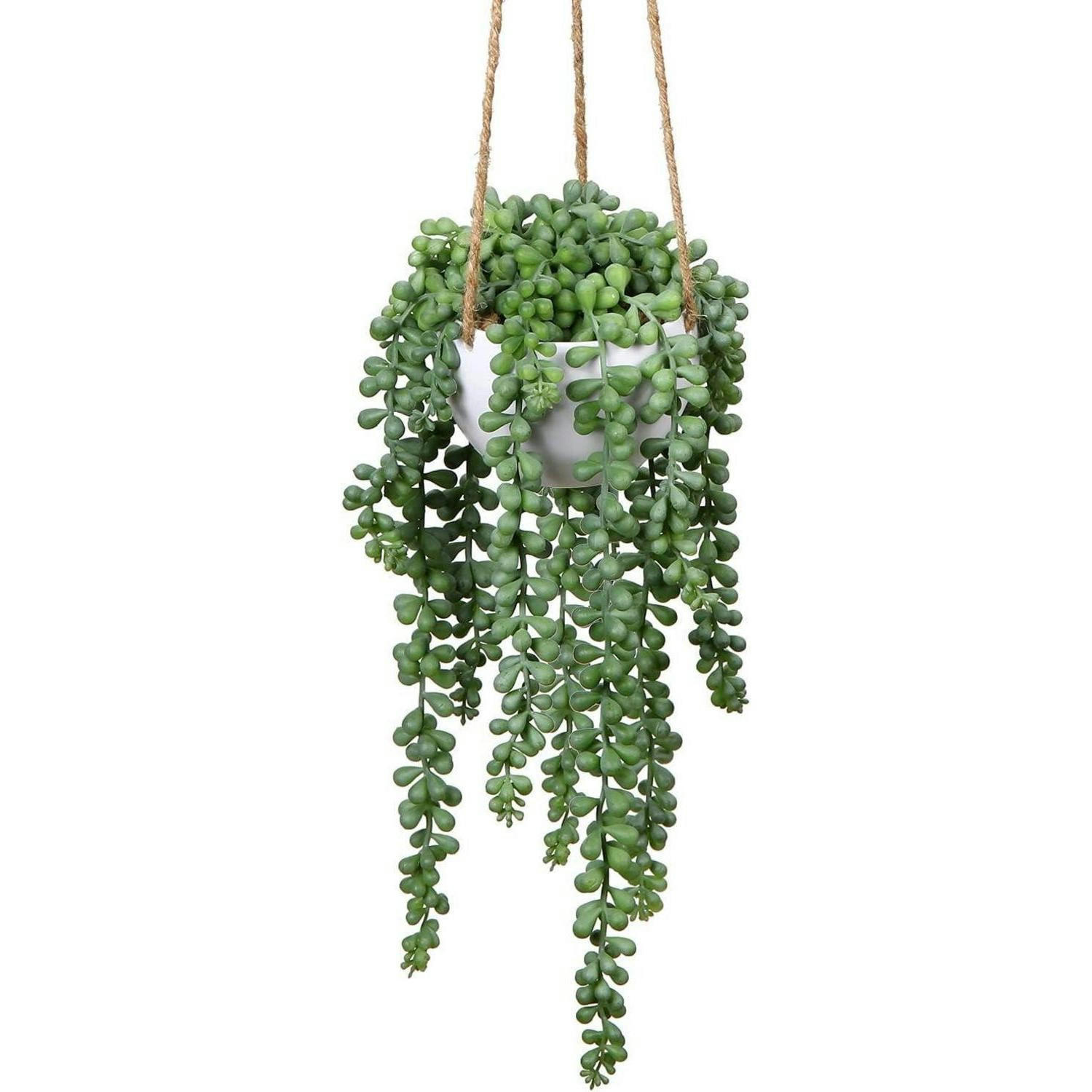 HÄNGEPFLANZE Senecio künstlich in Hängeampel 35.5 cm - Grün, Kunststoff (35cm)