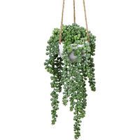 HÄNGEPFLANZE Senecio künstlich in Hängeampel 35.5 cm - Grün, Kunststoff (35cm)