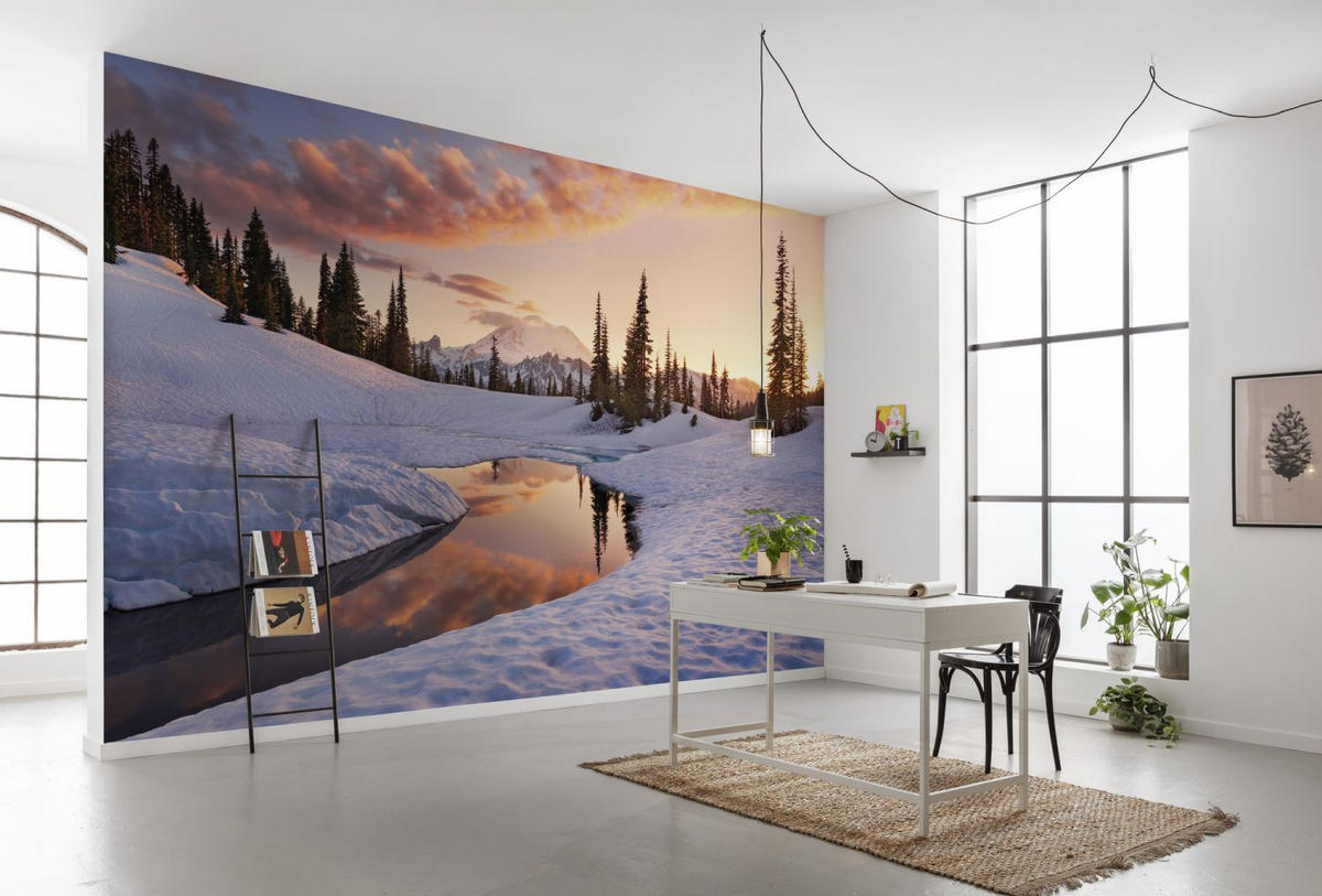 FOTOTAPETE Schneelandschaft 450 x 280 cm - Weiß, Papier (450/280cm) - Sanders & Sanders