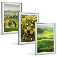 BILDER SET 3er Set - 40x60 cm Silberner Rahmen - Italienische Zitrusfrüchte und Hügel - Silberfarben, Kunststoff (40/60cm) - TULUP