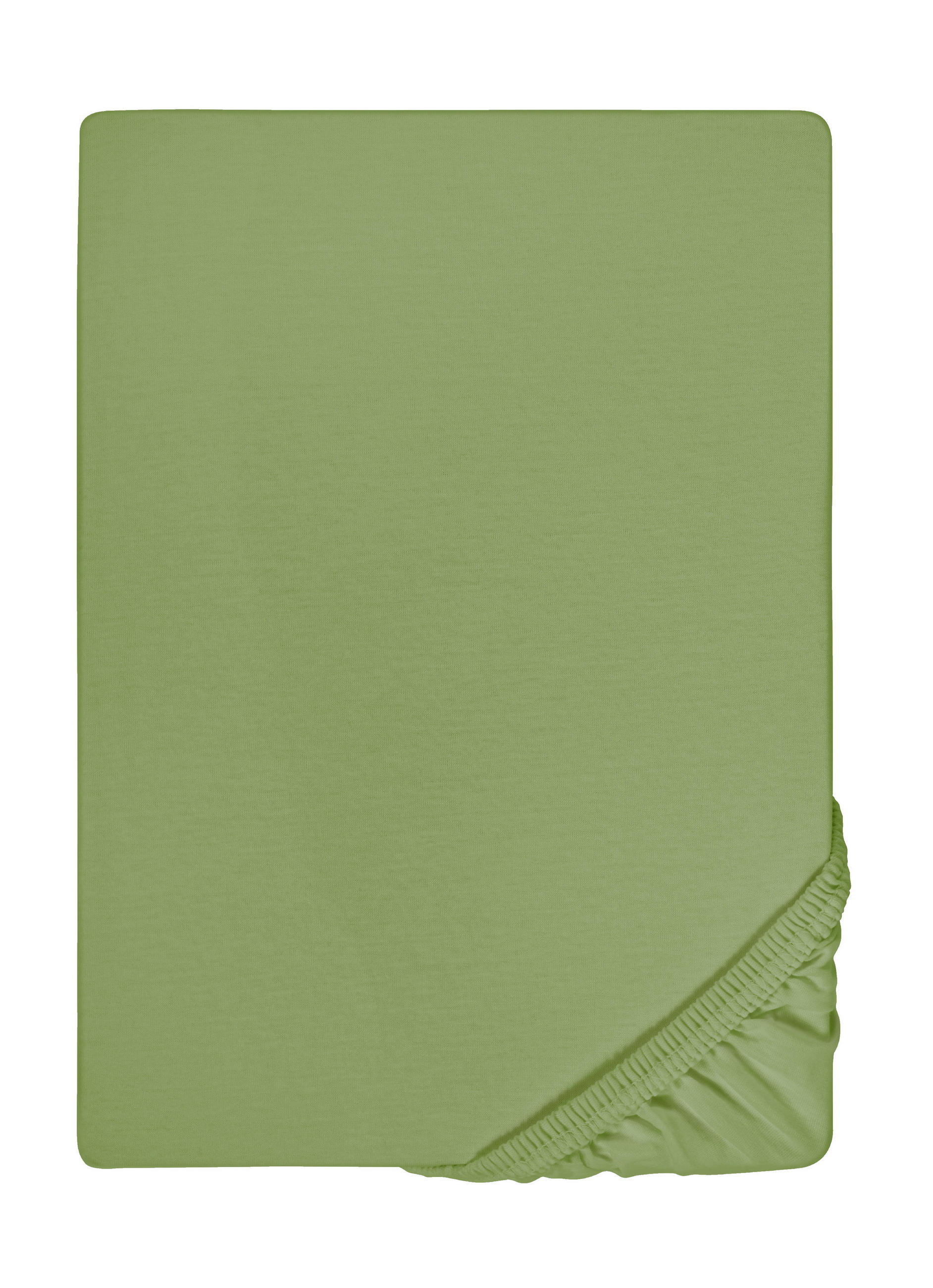 biberna Spannbetttuch Dunkelgrün 200x200 cm