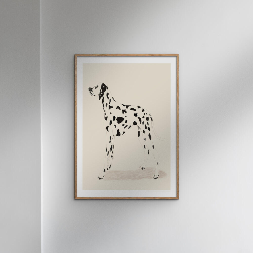POSTER Jenny Liz Rome - Dalmation - Naturfarben, Papier (50/70/0.1cm) - Poster&Frame