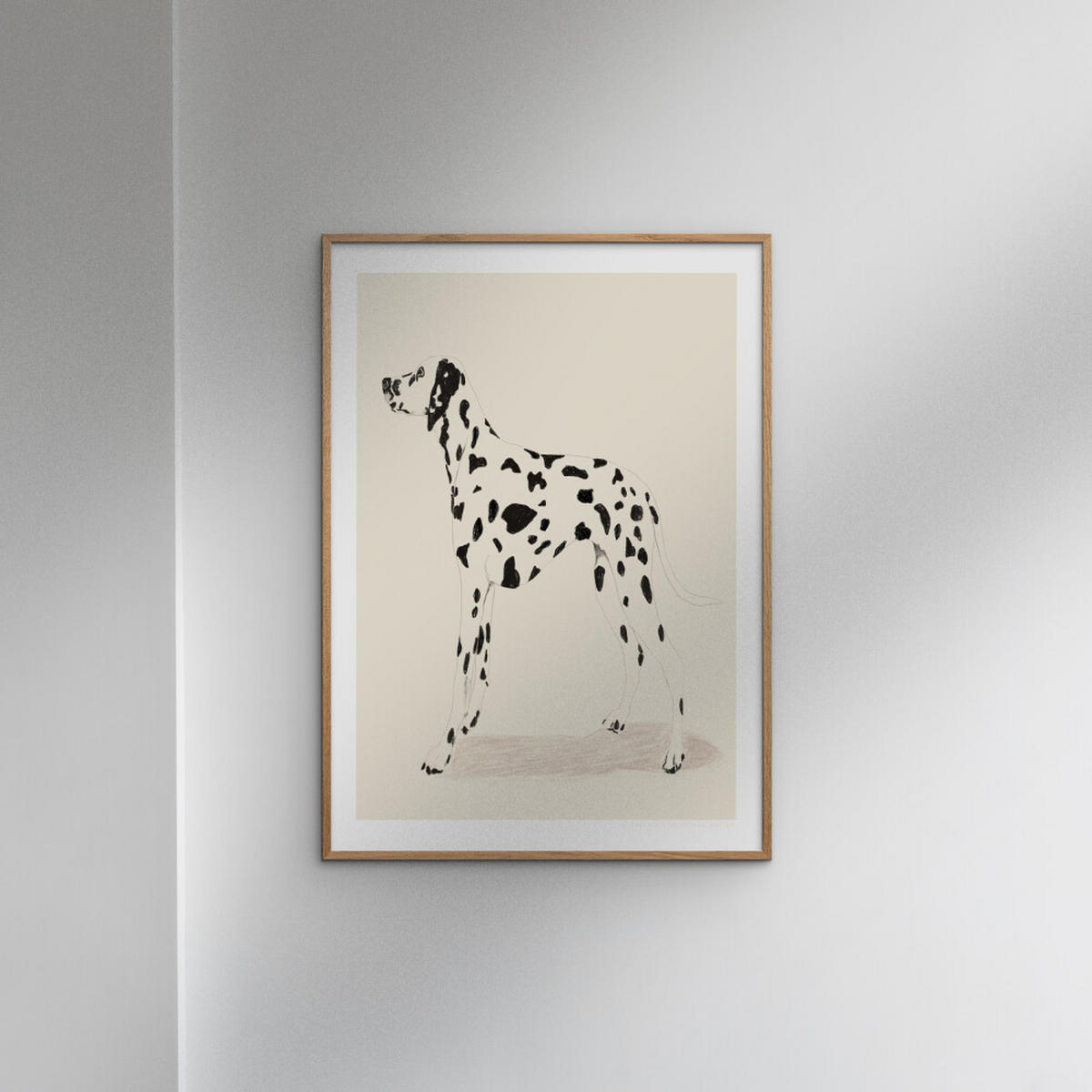 POSTER Jenny Liz Rome - Dalmation - Naturfarben, Papier (50/70/0.1cm) - Poster&Frame