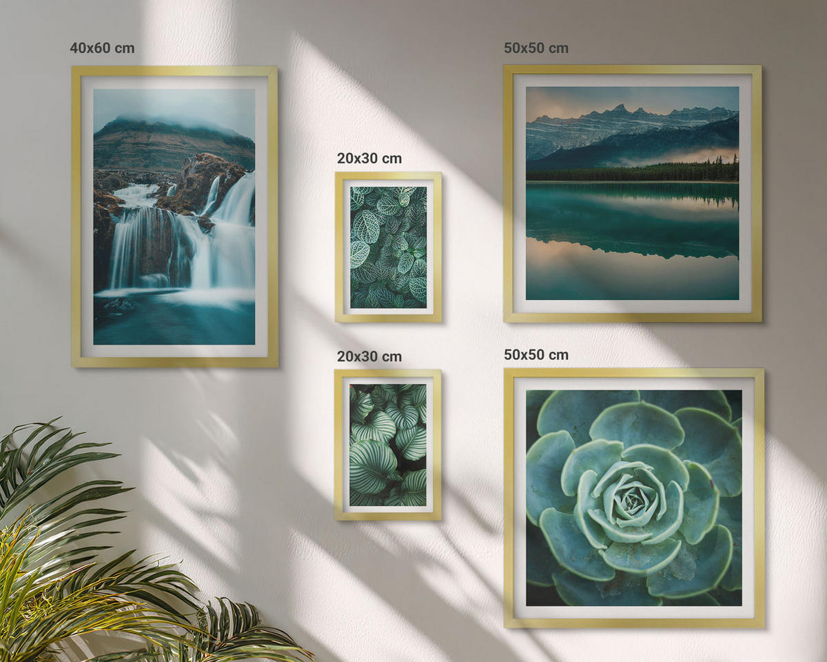 WANDBILDER 5er Set - 50x50 cm & 20x30 cm & 40x60 cm Goldrahmen - Sukkulenten in Grün und Türkis - Goldfarben, Kunststoff (40/60cm) - ArtPrintCave