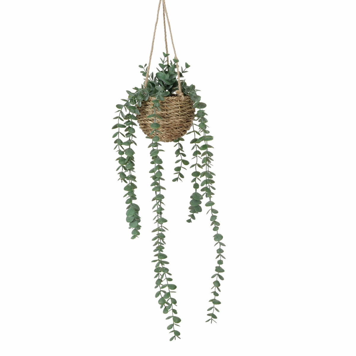 HÄNGENDE PFLANZE Eukalyptus 78 cm - Multicolor, Kunststoff (78cm) - Boltze Home