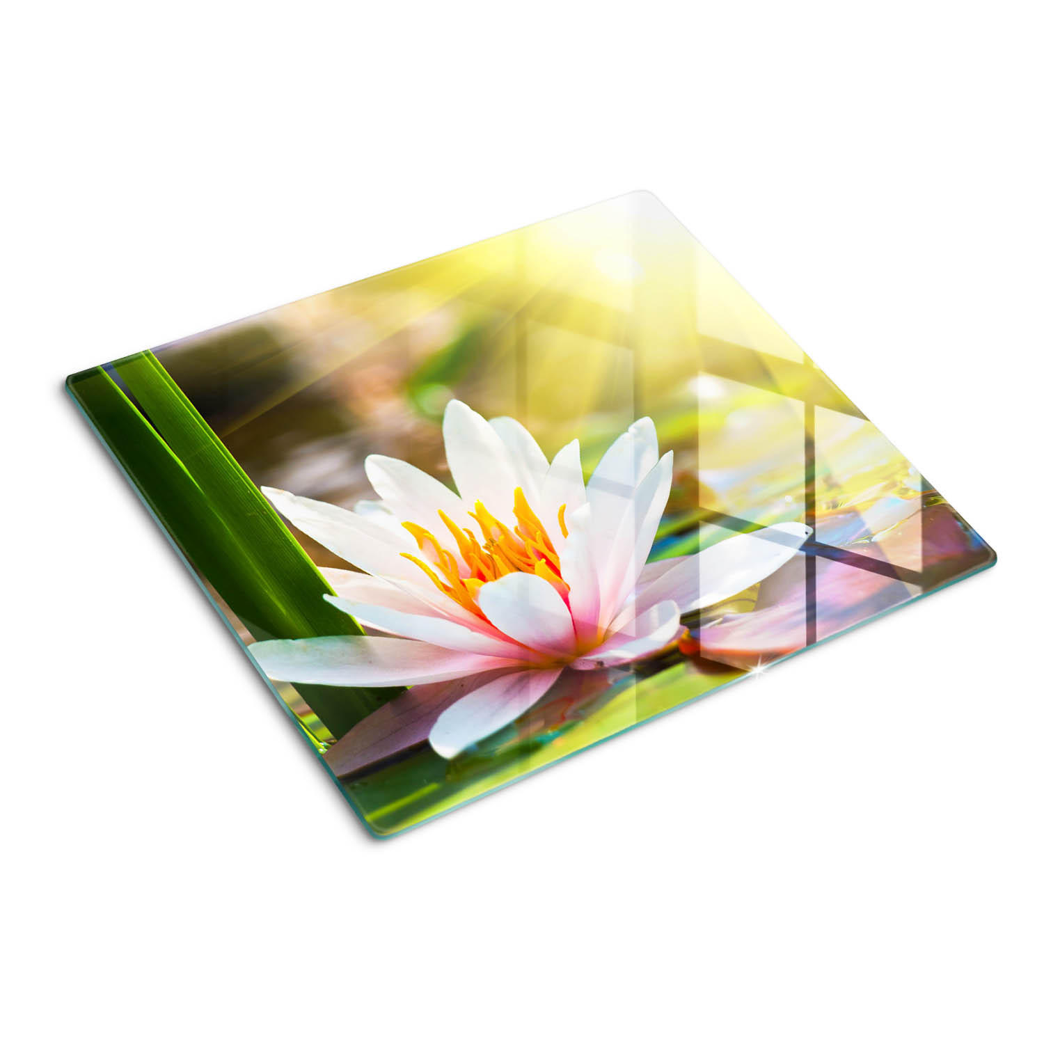 GLASPLATTE 60x52 cm Seerose - Multicolor, Glas (60/0.4/52cm) - TULUP