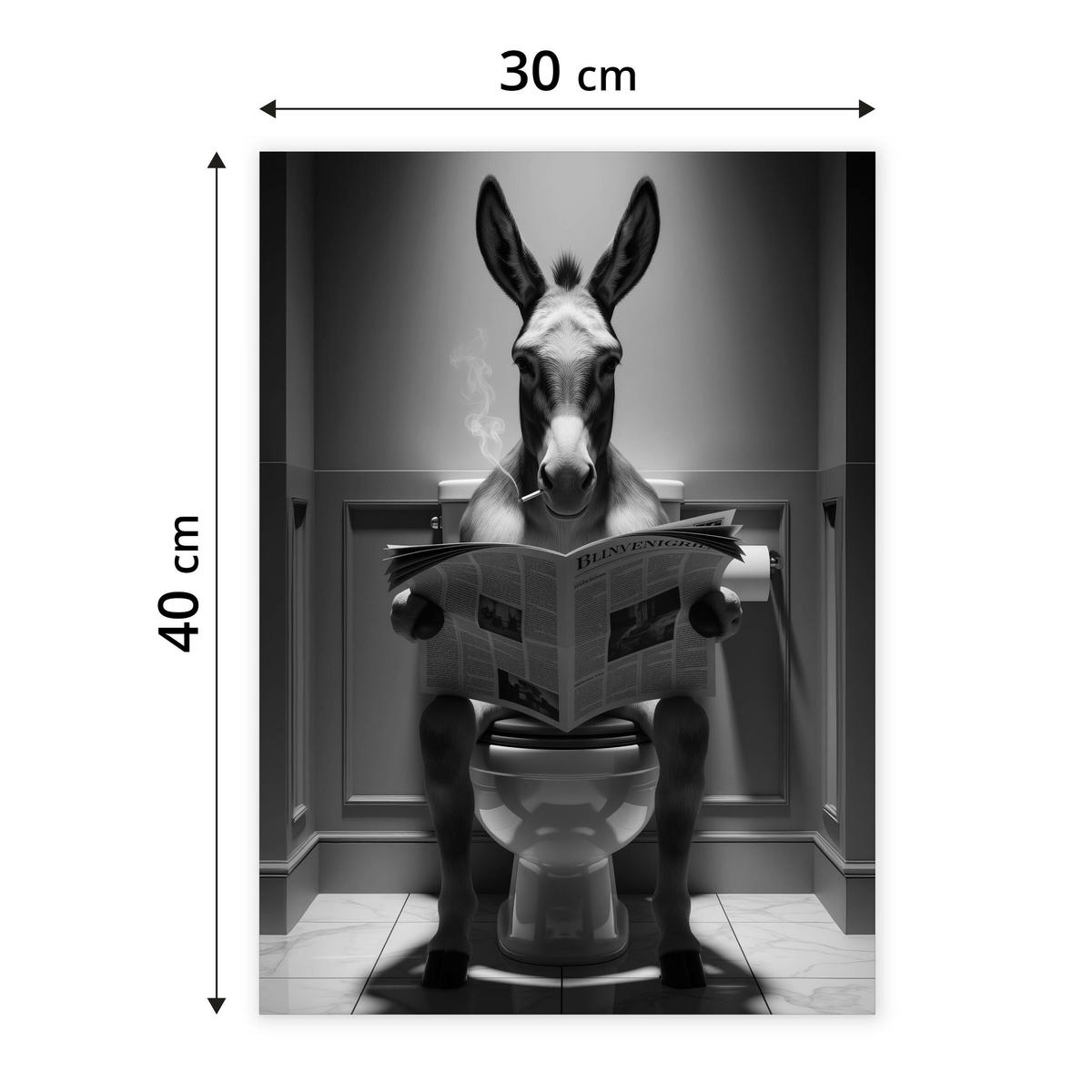 POSTER für Badezimmer WC ESEL mit Zeitung auf Toilette Abstraktion 30x40cm - Schwarz/Weiß, Papier (30/40/1cm) - Muralo