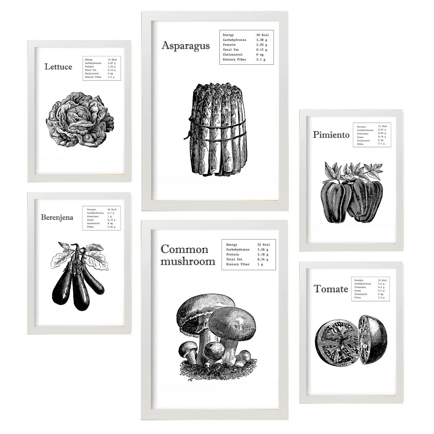 POSTER Set Mit 6 Gemüse Sammlung A3 & A4 Weißer Rahmen - Weiß, Papier (29/3cm) - Nacnic