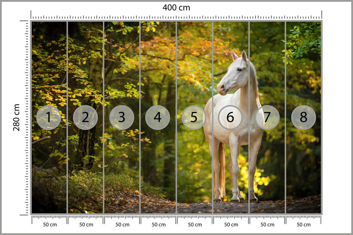 FOTOTAPETE für Schlafzimmer Weißes Pferd Wald Bäume Blätter 400x280 - Gelb/Beige, Papier (400/280cm) - Muralo